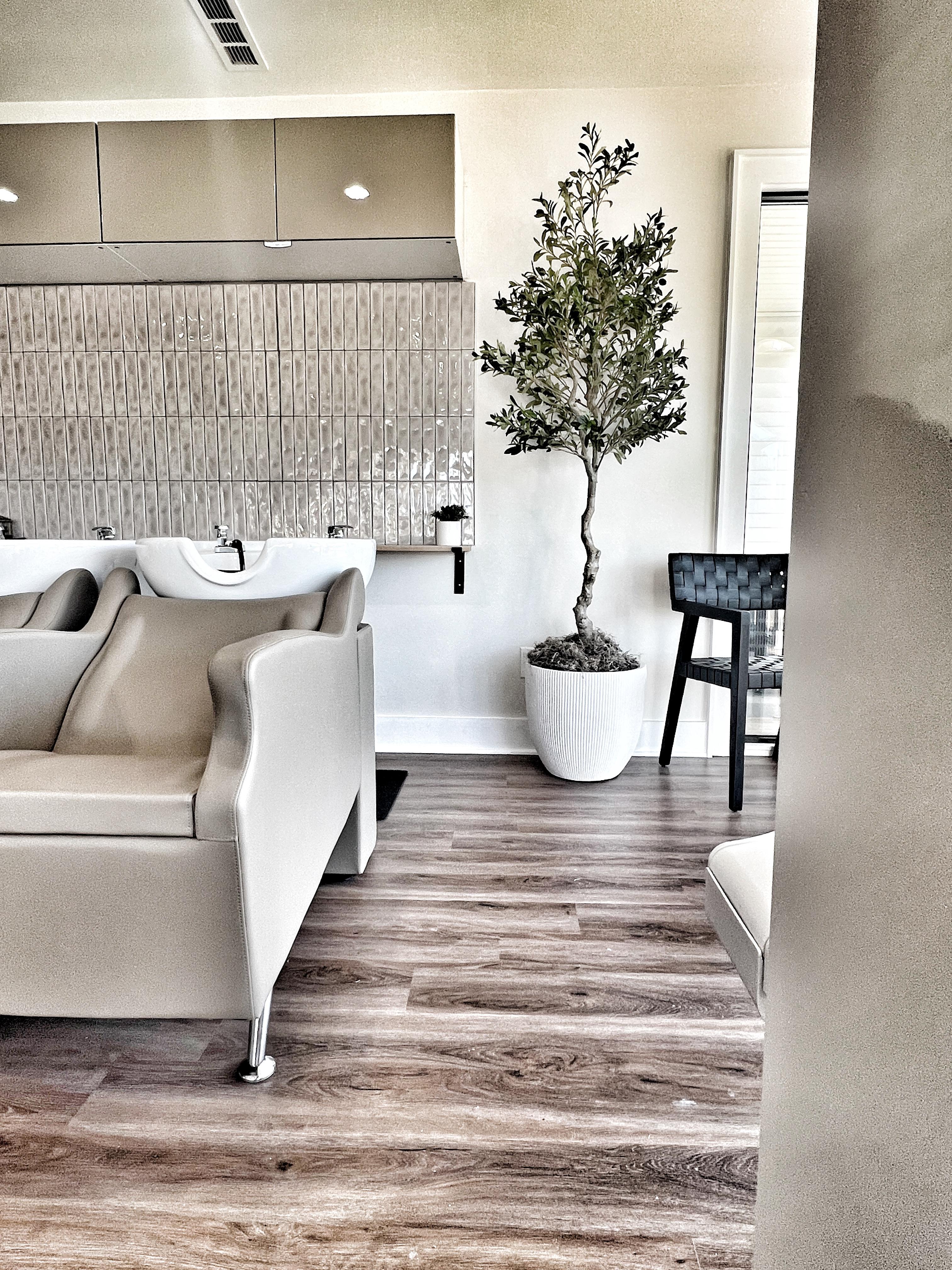 The wash station at Rooted — glossy tile, warm light and the olive tree